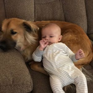 Meet your Posher, Cody